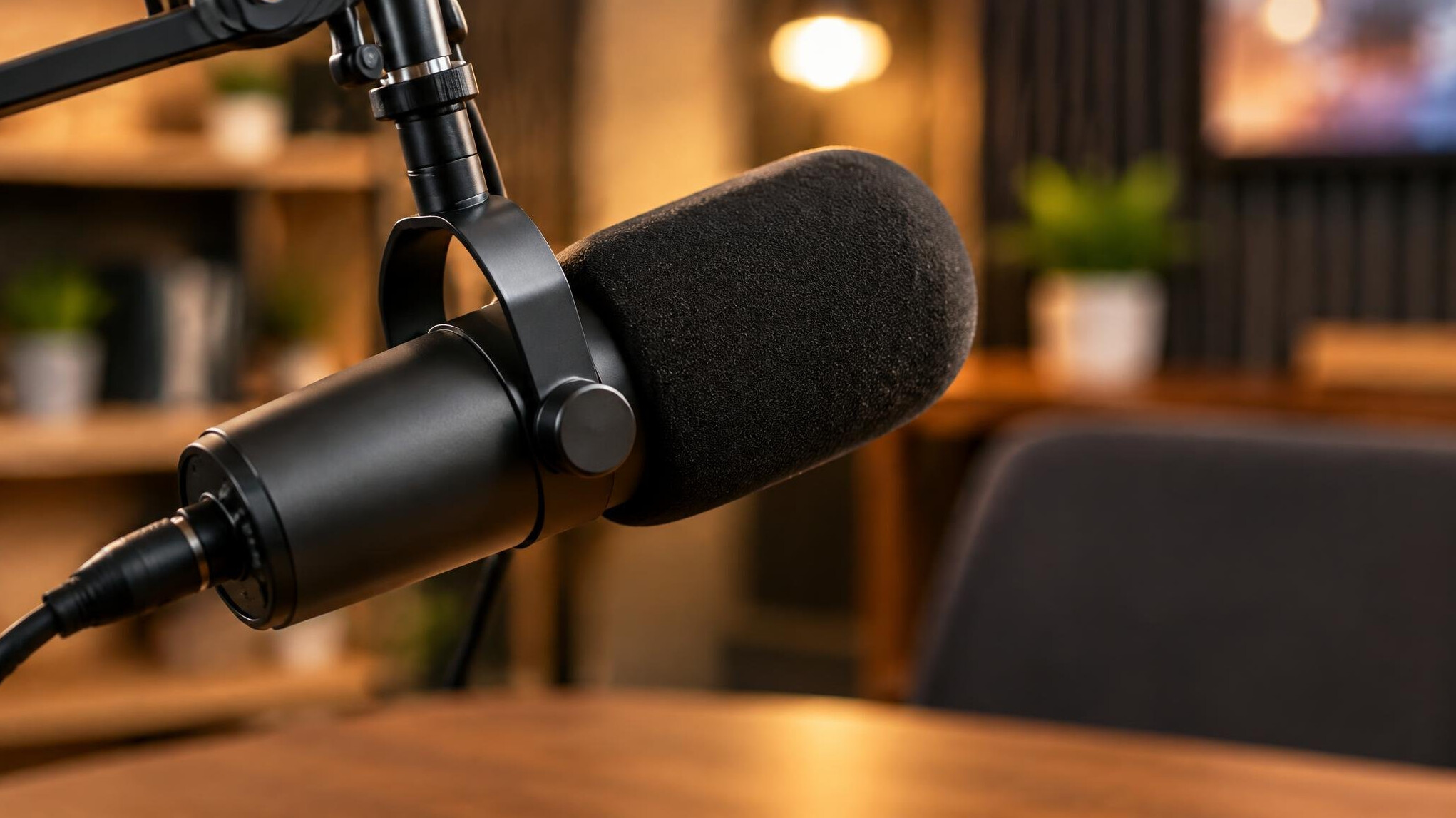 Professional microphone for interviews